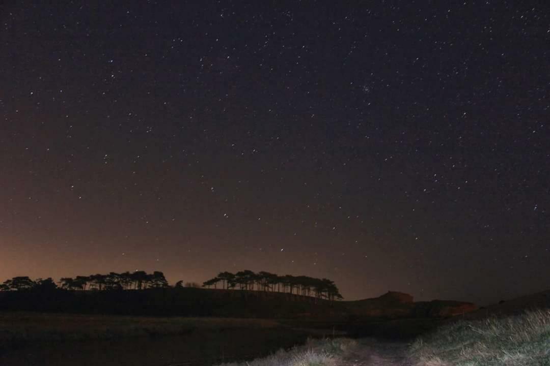 エクスマウス Hamilton Houseヴィラ エクステリア 写真